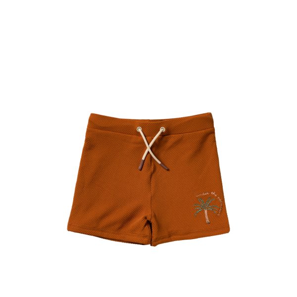 Solid | Swim Trunks