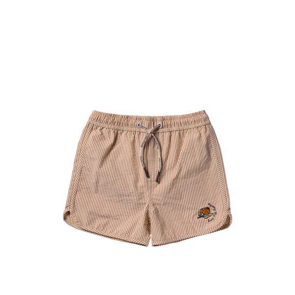 Seersucker | Swim Shorts
