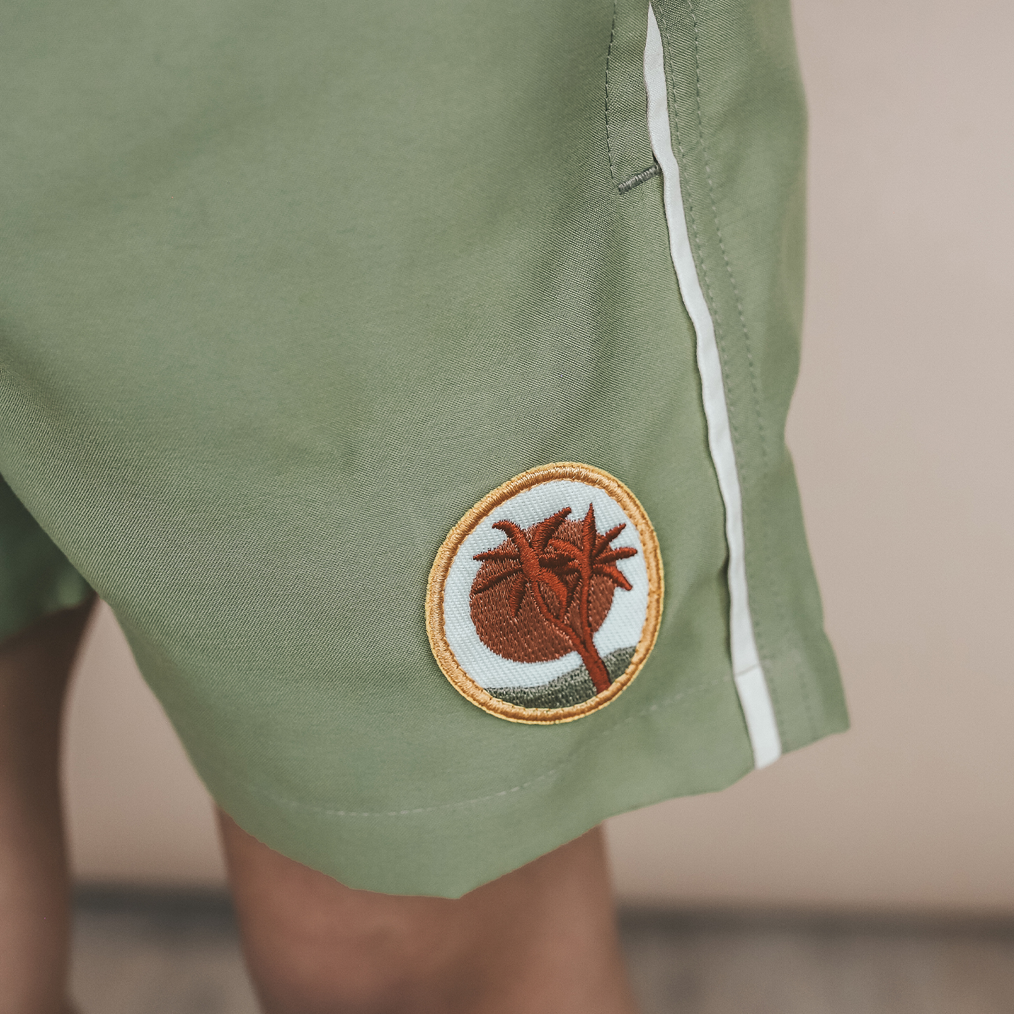 Solid | Swim Shorts