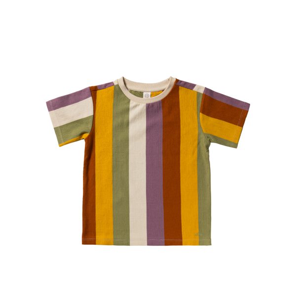 Multi Stripe | Regular Tee