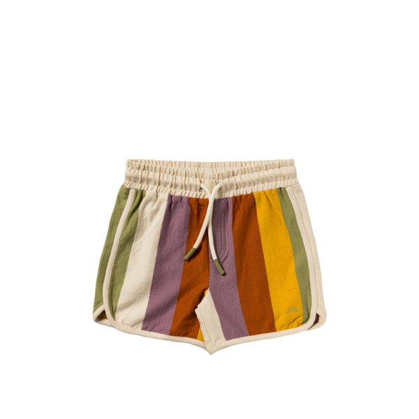 Multi Stripe | Shorts